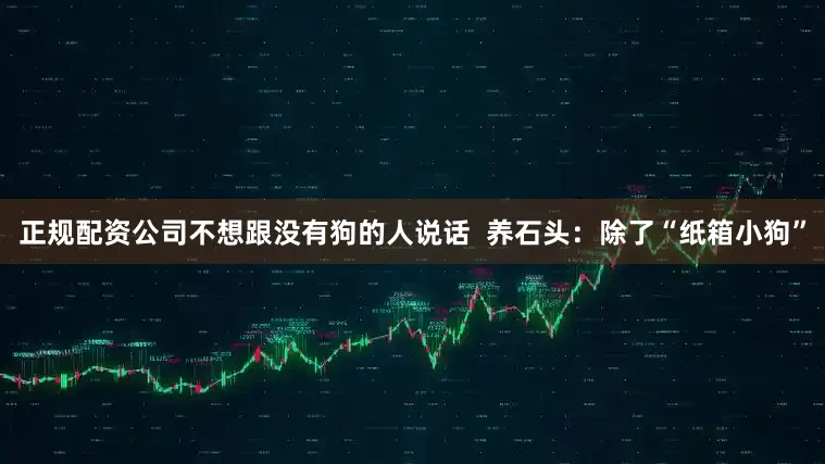 正规配资公司不想跟没有狗的人说话  养石头：除了“纸箱小狗”