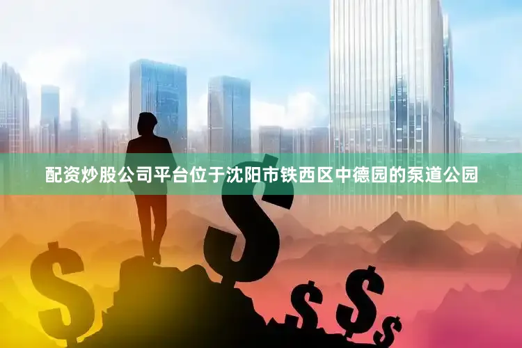 配资炒股公司平台位于沈阳市铁西区中德园的泵道公园