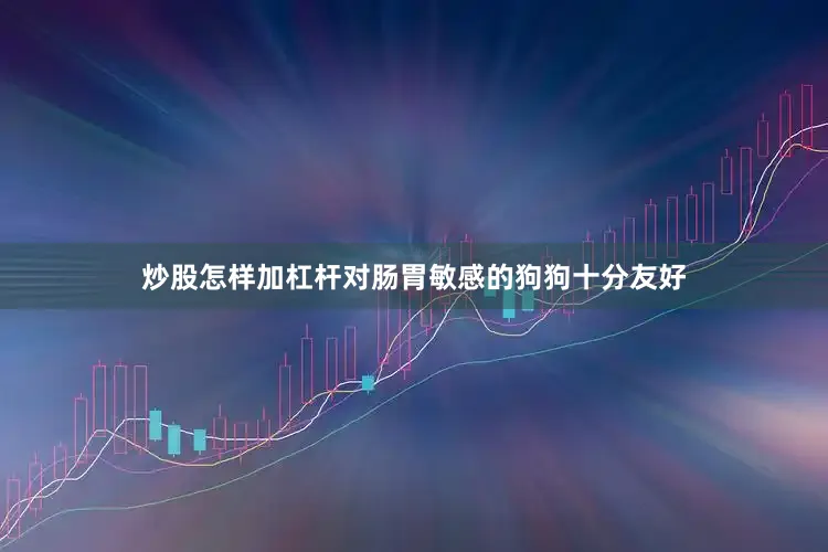 炒股怎样加杠杆对肠胃敏感的狗狗十分友好