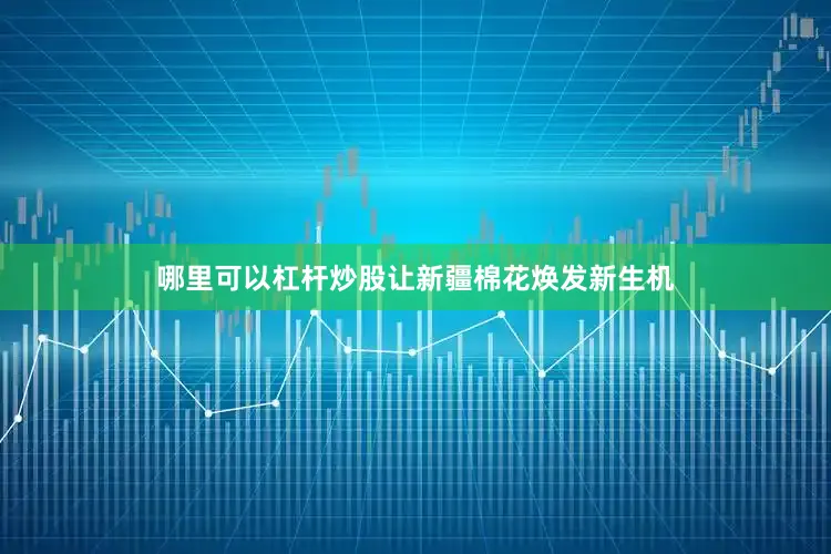 哪里可以杠杆炒股让新疆棉花焕发新生机