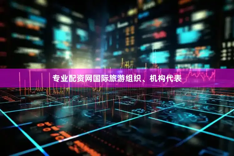 专业配资网国际旅游组织、机构代表