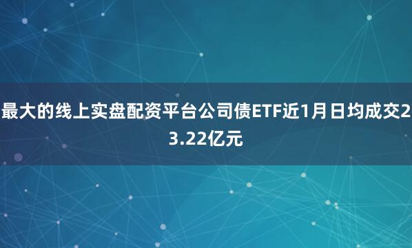 最大的线上实盘配资平台公司债ETF近1月日均成交23.22亿元