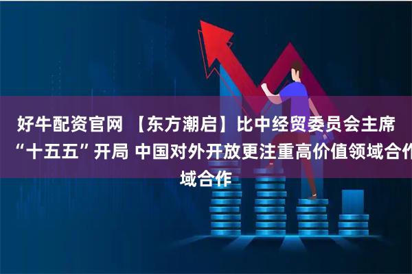 好牛配资官网 【东方潮启】比中经贸委员会主席：“十五五”开局 中国对外开放更注重高价值领域合作
